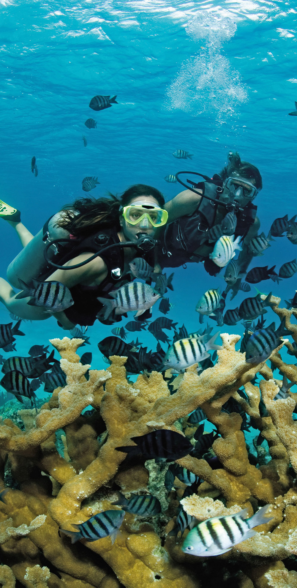 Couple diving Great Barrier Reef Queensland