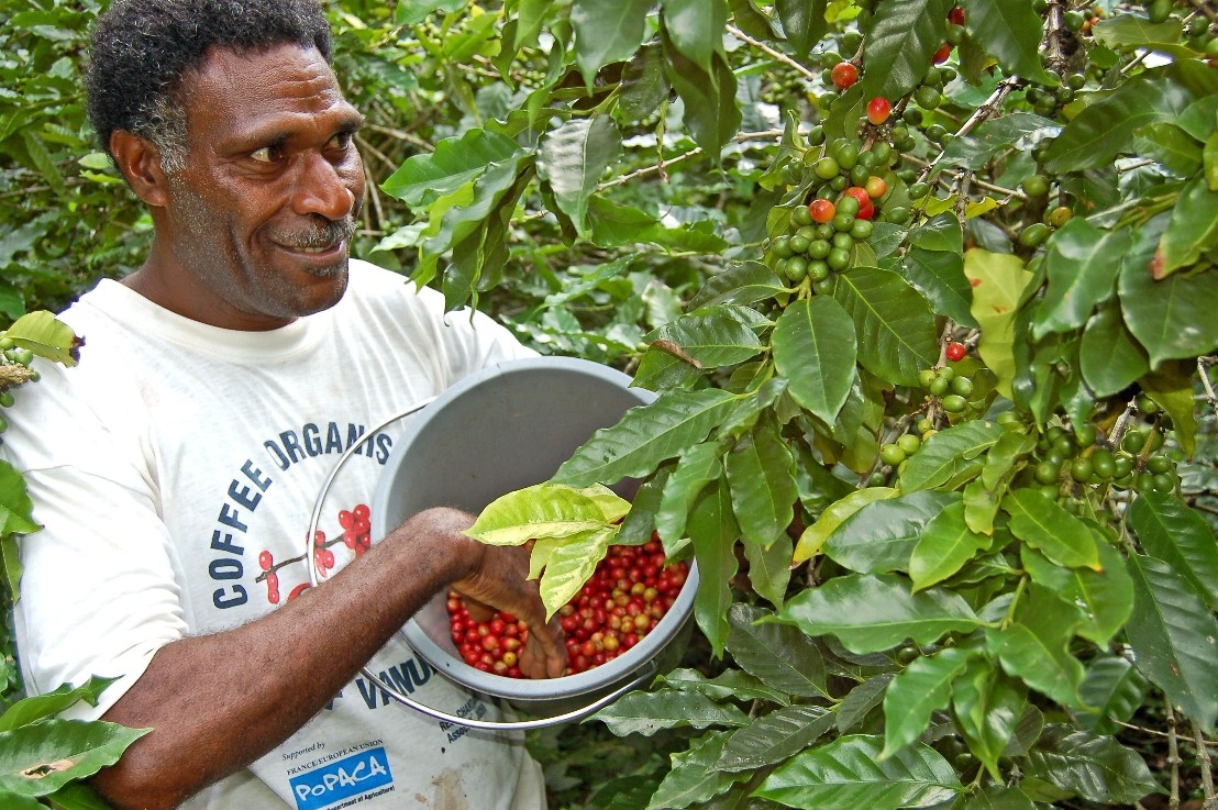 Johnny Willie Tanna coffee grower
